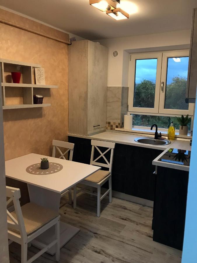 Homely Apartment Сучава Экстерьер фото