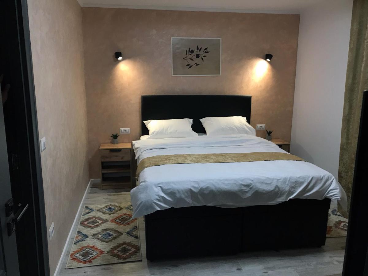 Homely Apartment Сучава Экстерьер фото