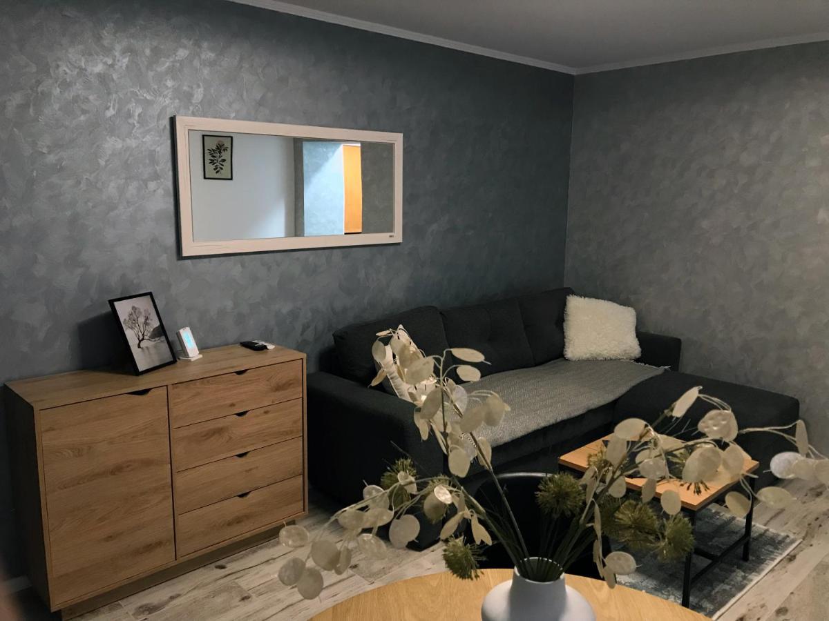 Homely Apartment Сучава Экстерьер фото